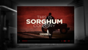 This is Sorghum Country